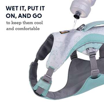 Ruffwear, Swamp Cooler Dog Harness, Lightweight with Evaporative Cooling for Hot Weather, Sage Green, XX-Small