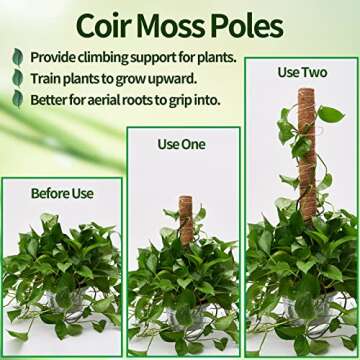 Eibikdi 6 Pcs Moss Pole Extending to 68 Inches for Plants Monstera, Plant Support Stakes for Indoor ...