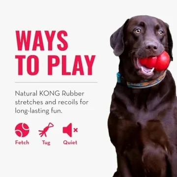 KONG Tug Toy for Dogs - Durable Natural Rubber for Fun