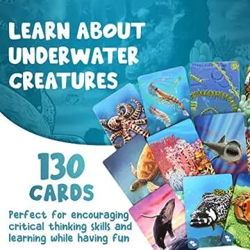 Genius Games Ecosystem: Coral Reef - A Mensa Recommended Family Card Game About Aquatic Animals, Their Habitats & Food Chain | A Light Educational Marine Biology Board Game for Kids and Families