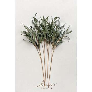 Ling’s Moment 4Pcs Sage Green Salix Leaves for Decor