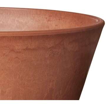 PSW Pot TD25TC Collection Shallow Bulb Pan Planter for Succulents, Bonsai, Fairy Gardens, Herbs, 10-inch, Terra Cotta Color