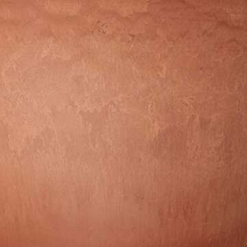 PSW Pot TD25TC Collection Shallow Bulb Pan Planter for Succulents, Bonsai, Fairy Gardens, Herbs, 10-inch, Terra Cotta Color