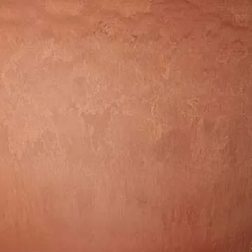 PSW Pot TD25TC Collection Shallow Bulb Pan Planter for Succulents, Bonsai, Fairy Gardens, Herbs, 10-inch, Terra Cotta Color