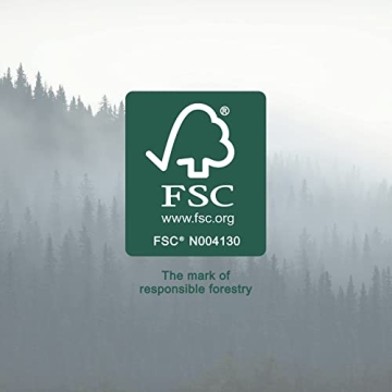 Amazon Basics Musical Pounding Bench Xylophone Shape Sorter