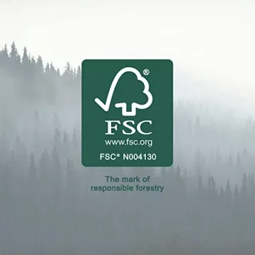 Amazon Basics Musical Pounding Bench Xylophone Shape Sorter