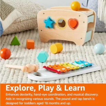 Amazon Basics Musical Pounding Bench Xylophone Shape Sorter