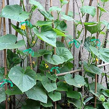 Feitengda PVC Garden Tie Tape – Durable Reusable Plant Ties for Indoor & Outdoor