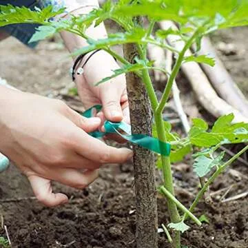 Durable Feitengda PVC Garden Tie Tape for Indoor Outdoor Use