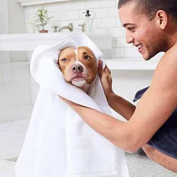 Brooklinen Super-Plush Turkish Cotton Hand Towels - Set of 2, White, 100% Cotton | Best Luxury Spa Towels