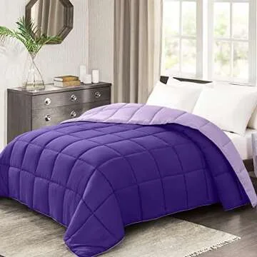 Lightweight Reversible Queen Comforter for All Seasons