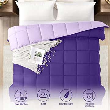Homelike Moment Lightweight Queen Comforter - Purple Down Alternative Bedding Comforters Queen Size, All Season Duvet Insert Quilted Reversible Bed Comforter Soft Queen Full Size Plum/Light Purple