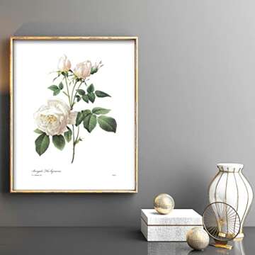 Redoute Rose Art, French Botanical Print - Vintage Floral Decor, Bengal Tea Rose, White Flower Wall Art - Unframed