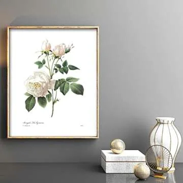 Redoute Rose Art, French Botanical Print - Vintage Floral Decor, Bengal Tea Rose, White Flower Wall Art - Unframed