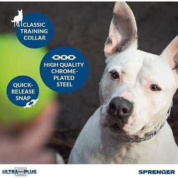 Herm Sprenger Pet Supply Imports Chrome Plated Training Collar with Quick Release Snap for Dogs, Med...