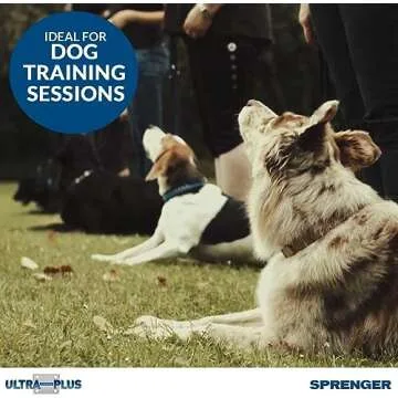 Herm Sprenger Pet Supply Imports Chrome Plated Training Collar with Quick Release Snap for Dogs, Medium, 3.0mm, 21-Inch