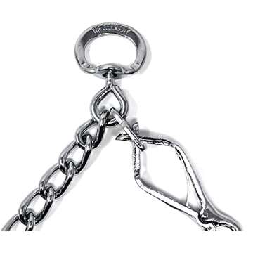 Herm Sprenger Pet Supply Imports Chrome Plated Training Collar with Quick Release Snap for Dogs, Medium, 3.0mm, 21-Inch