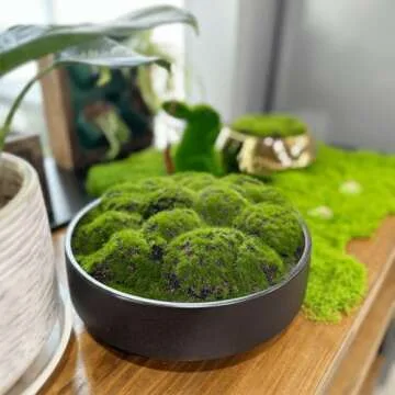 NAHARO New Moss Bowl, Handmade Ceramic Bowl. 11" Artificial Moss Bowl Centerpiece for Home Decoratio...