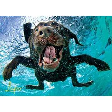 Willow Creek Press - 1000 Piece Puzzles for Adults - Underwater Dogs Jigsaw Puzzles Series -Splash