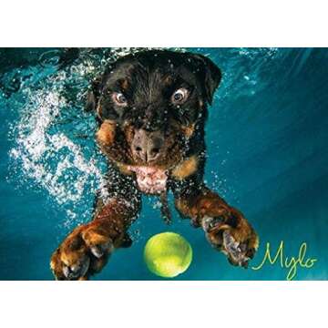 Willow Creek Press - 1000 Piece Puzzles for Adults - Underwater Dogs Jigsaw Puzzles Series -Splash