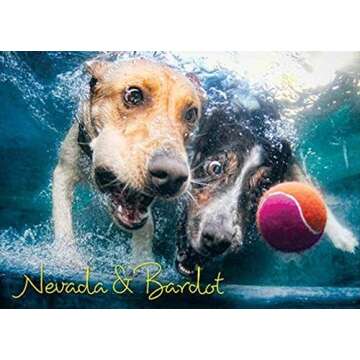 Willow Creek Press - 1000 Piece Puzzles for Adults - Underwater Dogs Jigsaw Puzzles Series -Splash