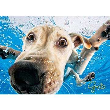 Willow Creek Press - 1000 Piece Puzzles for Adults - Underwater Dogs Jigsaw Puzzles Series -Splash