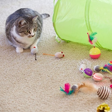 Youngever 24 Cat Toy Assortment - Interactive Fun for Cats