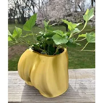 Large 3D Printed Gold Butt Booty Bum Planter with Drainage Holes - Body Parts Pot - Gardening, Plants, Succulents, Houseplant Pot