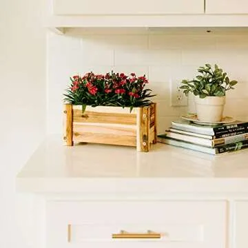 Thirteen Chefs Villa Acacia Wooden Planter Box - 13 Inch Rectangular Wood Planter for Garden, Patio,...