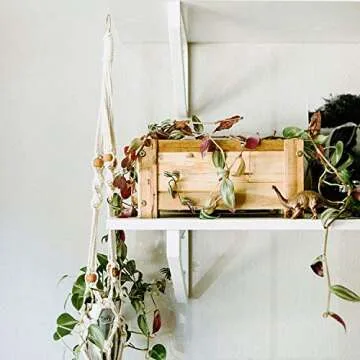 Thirteen Chefs Villa Wooden Planter Box for Home Gardening