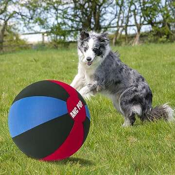 ANC POP Herding Ball for Dogs & Horses - 25 Inch Kit