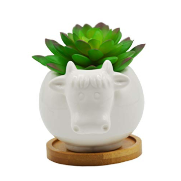 Cartoon Cow Succulent Pot Decorative Desk Accessory