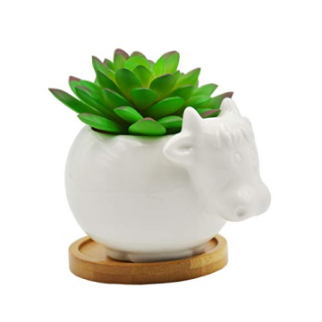 Cartoon Cow Succulent Pot Decorative Desk Accessory