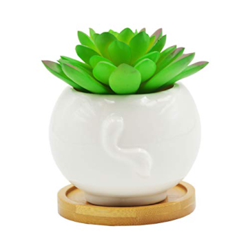 Cartoon Cow Succulent Pot Decorative Desk Accessory