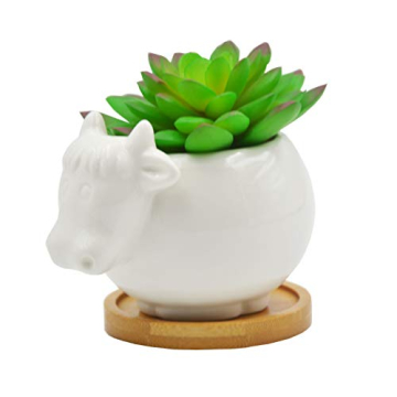 Cartoon Cow Succulent Pot Decorative Desk Accessory