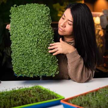 Bootstrap Farmer Microgreen Growing Trays, Multicolor 10 Pack, No Holes Heavy Duty Sprouting Tray