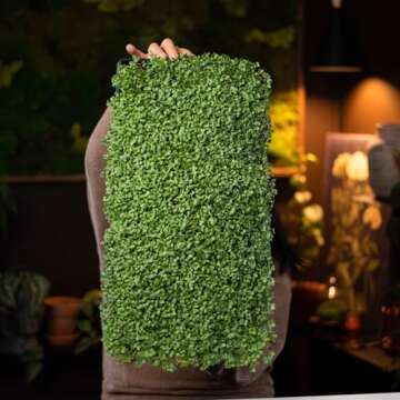 Bootstrap Farmer Microgreen Growing Trays, Multicolor 10 Pack, No Holes Heavy Duty Sprouting Tray