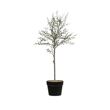 Creative Co-Op DF2615 29" H Thyme Topiary in Pot Faux Botanicals, Green