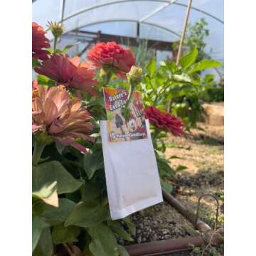 Amblyseius andersoni 10 Sachets with 250 Mites