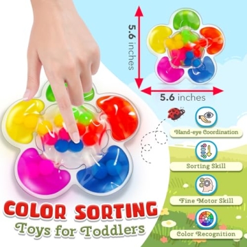 Color Sorting Sensory Toys for Kids Learn & Play Fun