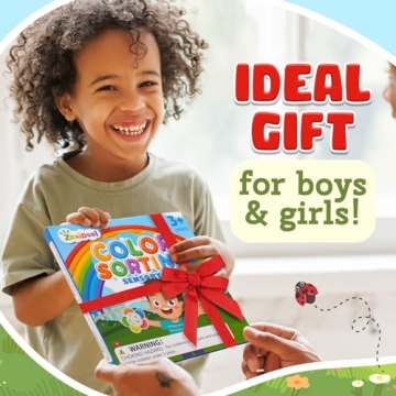 Color Sorting Sensory Toys for Kids Learn & Play Fun