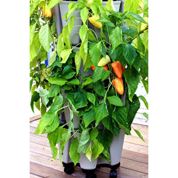 Greenstalk Mover for Easy Vertical Planting Mobility