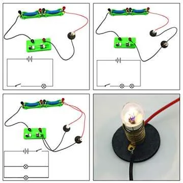 EUDAX DIY Physics Experiment Model Kit Electromagnetic Materials Electromagnet and Basic Electricity Discovery Circuit for School Lab Creative Educational Science Projects Teaching Equipment