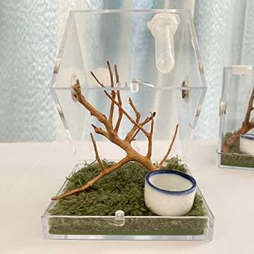 JOBEDE Jumping Spider Enclosure, Jumping Spider Habitat with Dropper Tongs Acrylic Reptile Breeding Box for Tarantula Scorpion Sling Isopods Invertebrates Insects Mantis Snake Gecko