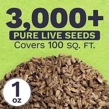 Purple Coneflower Seeds Over 3,000 Non-GMO Wildflower Seeds