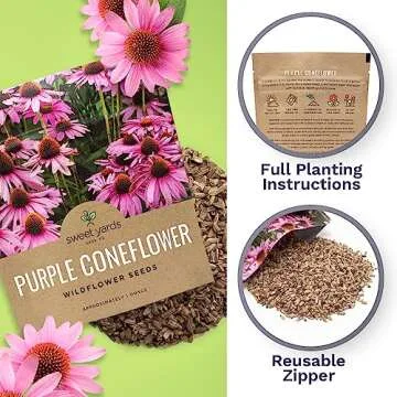 Purple Coneflower Seeds Over 3,000 Non-GMO Wildflower Seeds