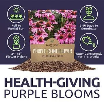 Purple Coneflower Seeds Over 3,000 Non-GMO Wildflower Seeds