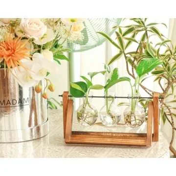 Ivolador Propagation Station, Plants Terrarium, Plants Lover Gifts for Women,Plant Cutting Holder Ho...