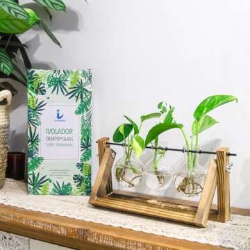 Ivolador Propagation Station, Plants Terrarium, Plants Lover Gifts for Women,Plant Cutting Holder Home décor,Gifts for Women,House Warming Gifts New Home for her