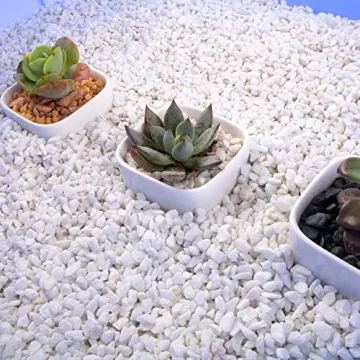 Anothera Succulent Bonsai Rocks for DIY Gardens and Aquariums